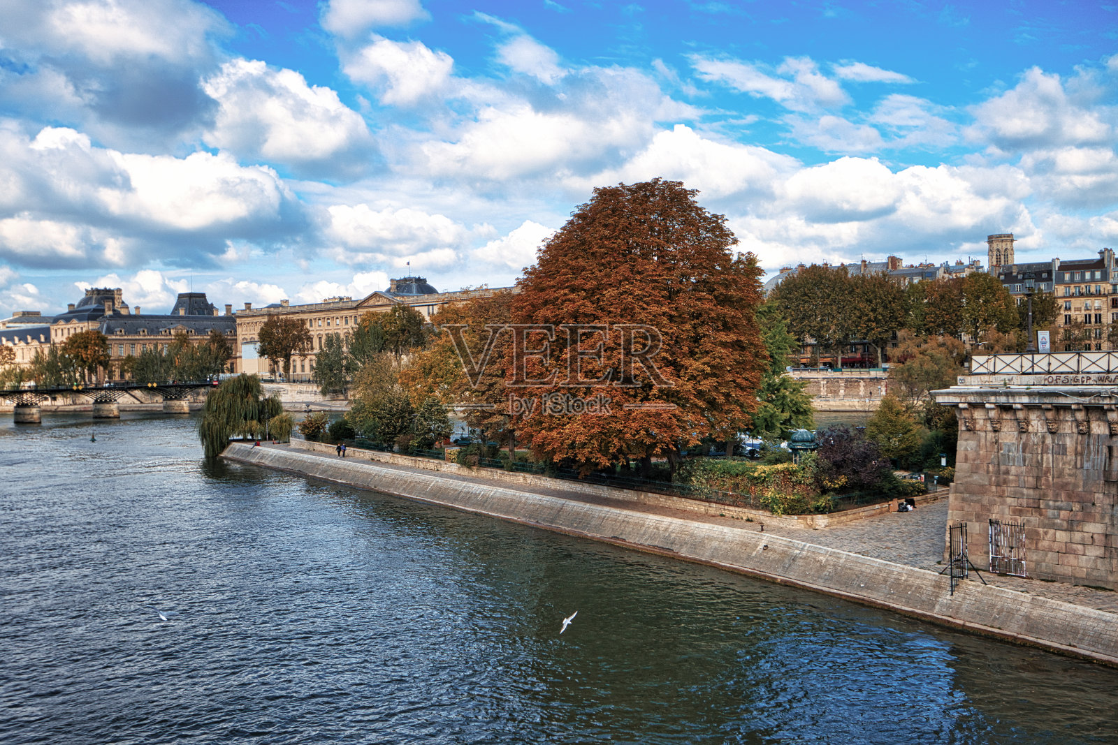 巴黎的塞纳河照片摄影图片