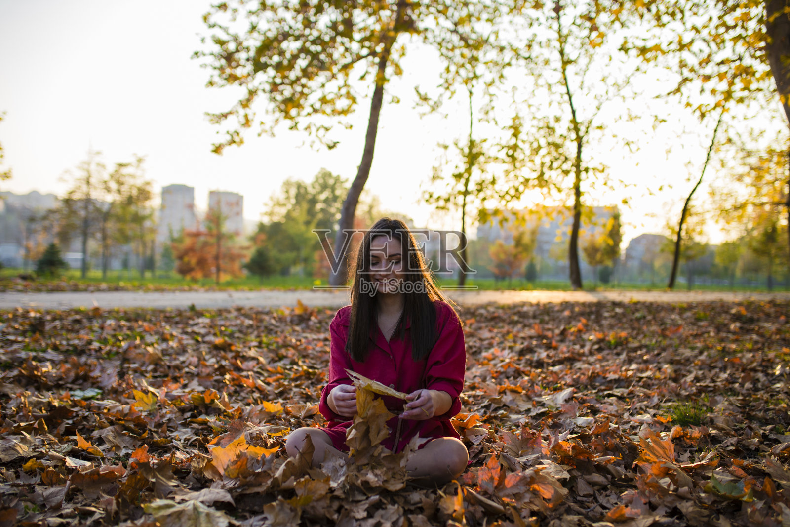 年轻女子在公园里欣赏树叶和阳光明媚的秋日照片摄影图片