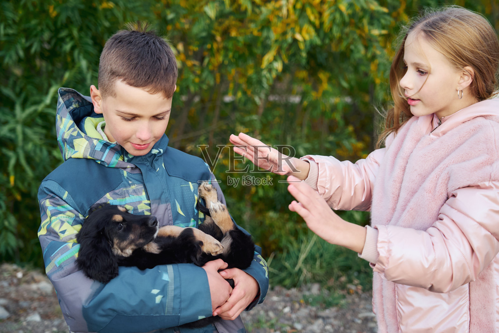 女孩向男孩要一只小狗照片摄影图片