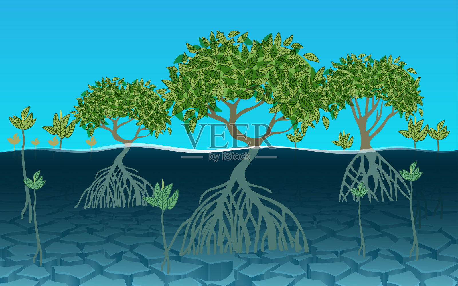 网络插画图片素材