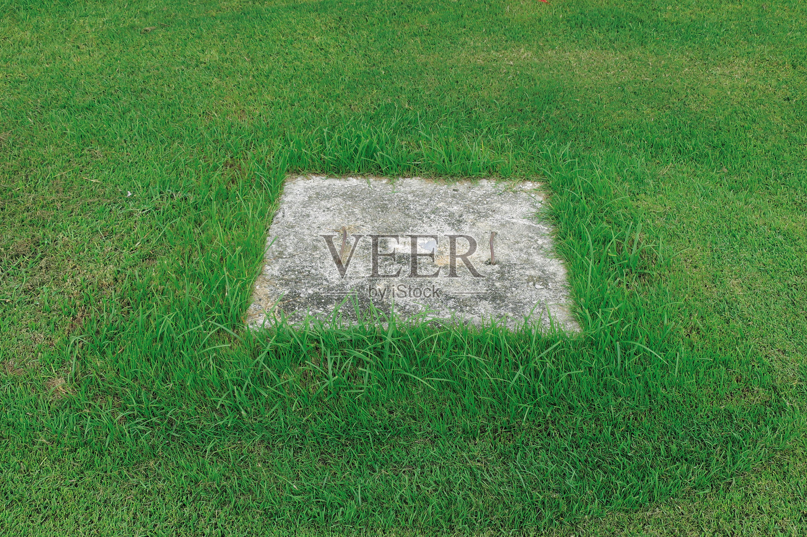 绿色草坪上的方形混凝土帽照片摄影图片