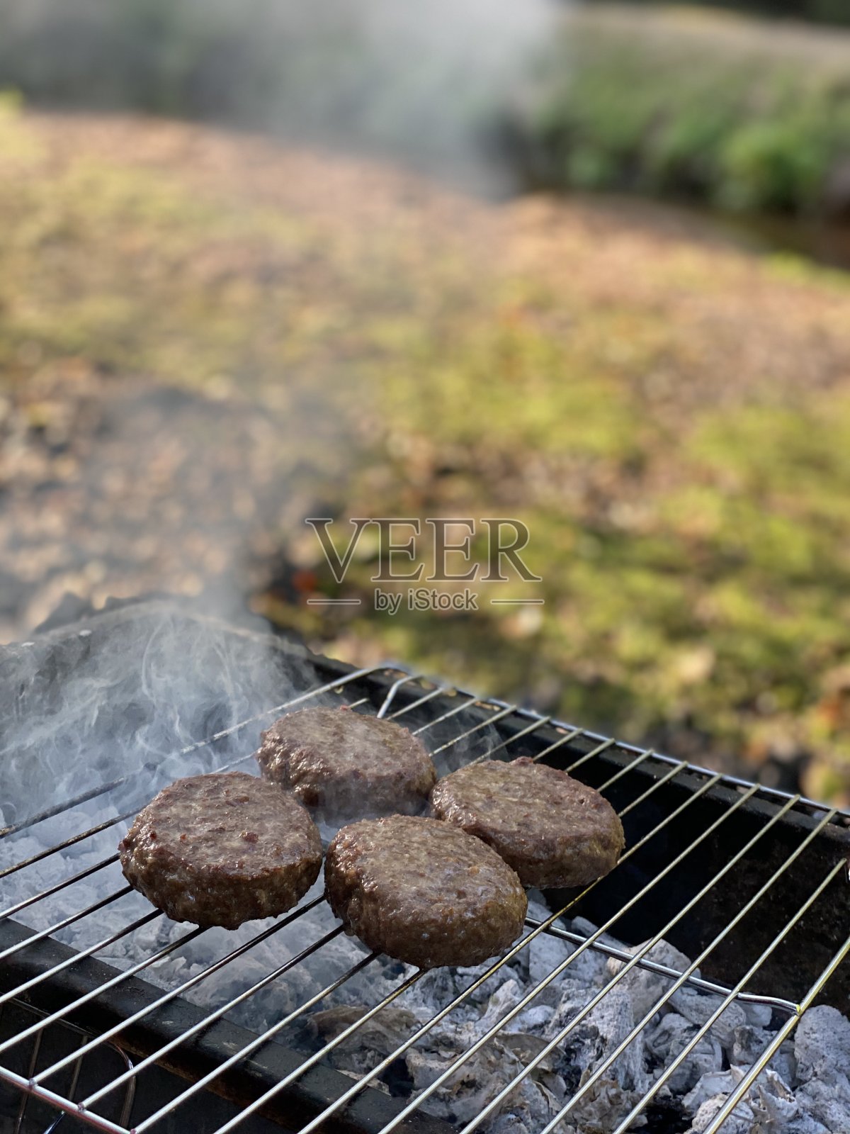 烧烤烤肉koobideh照片摄影图片