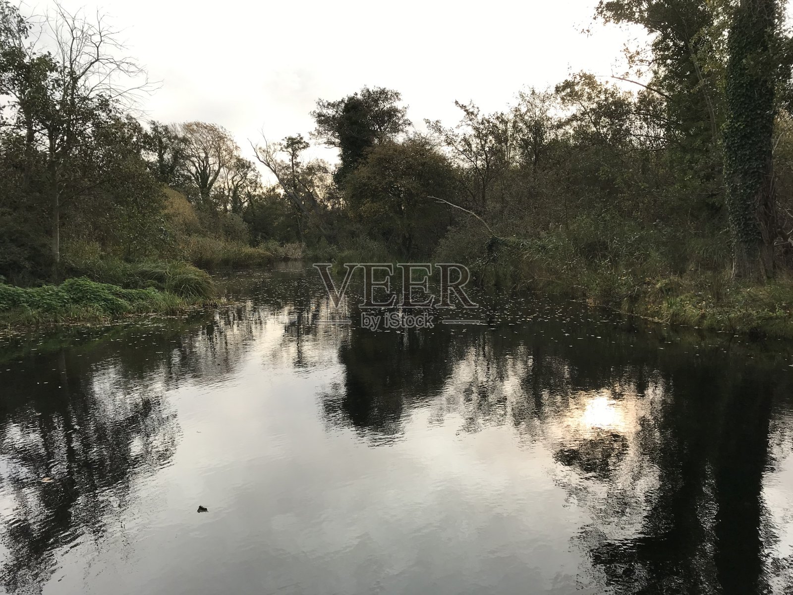 Thorpeness meare萨福克郡照片摄影图片