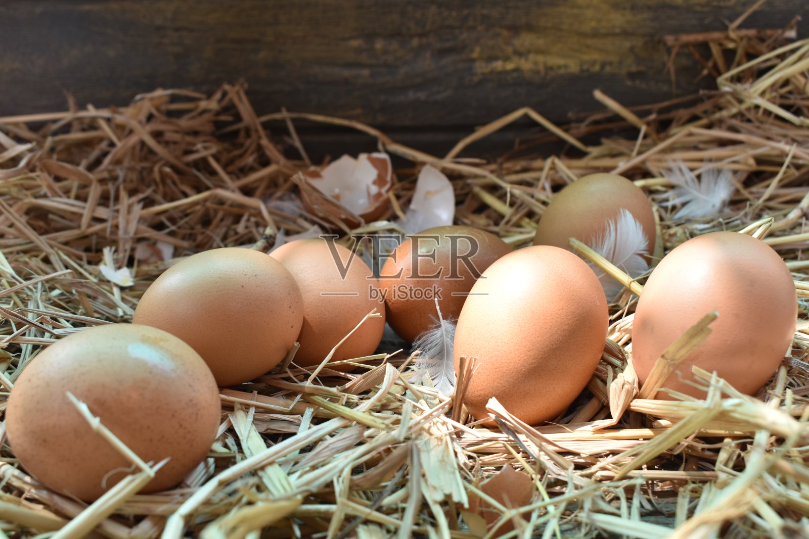 男人从篮子里的棺材中收集鸡蛋照片摄影图片