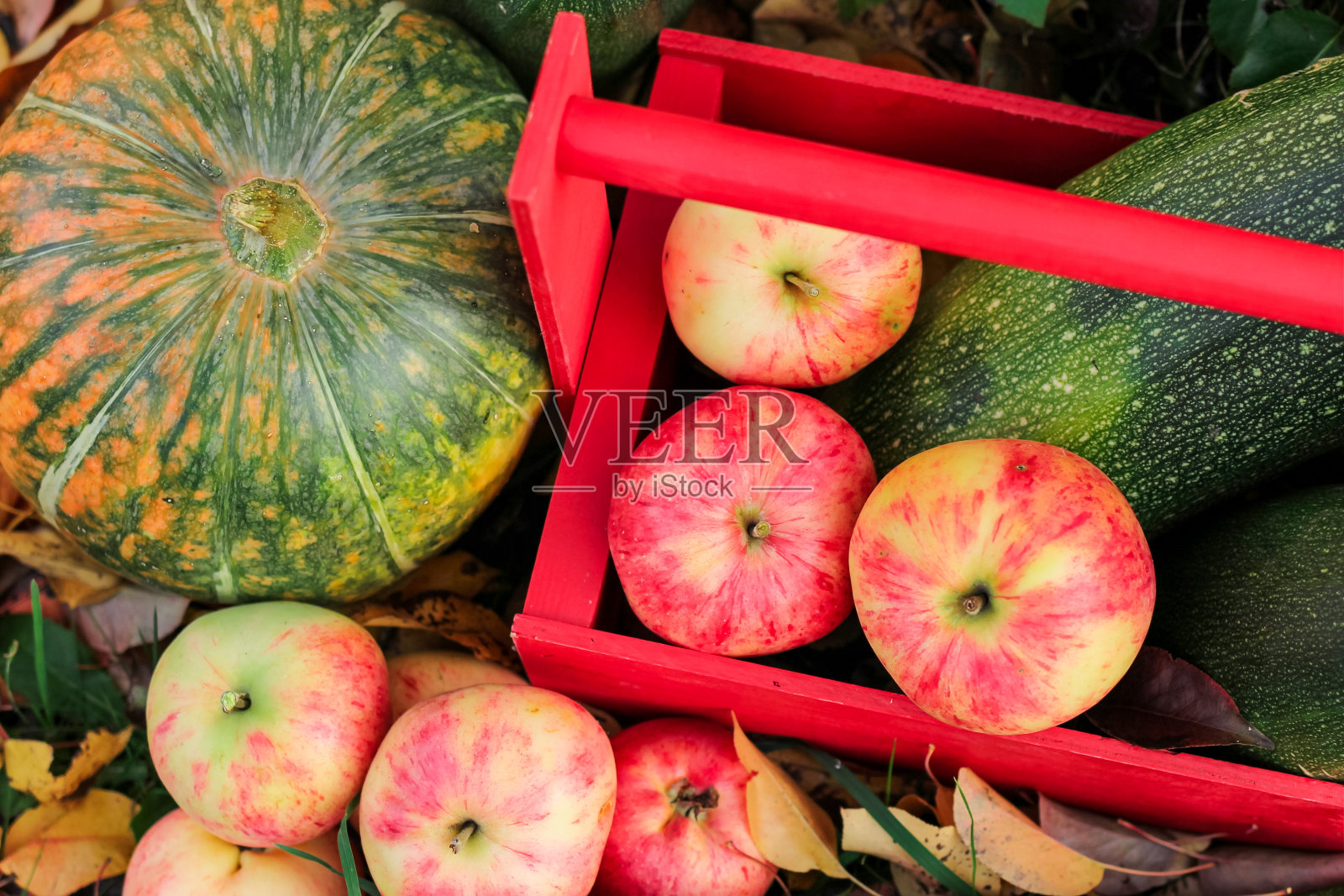 秋天的收获。感恩节的背景。蔬菜和水果躺在落叶上。有选择性的重点。关闭了。照片摄影图片