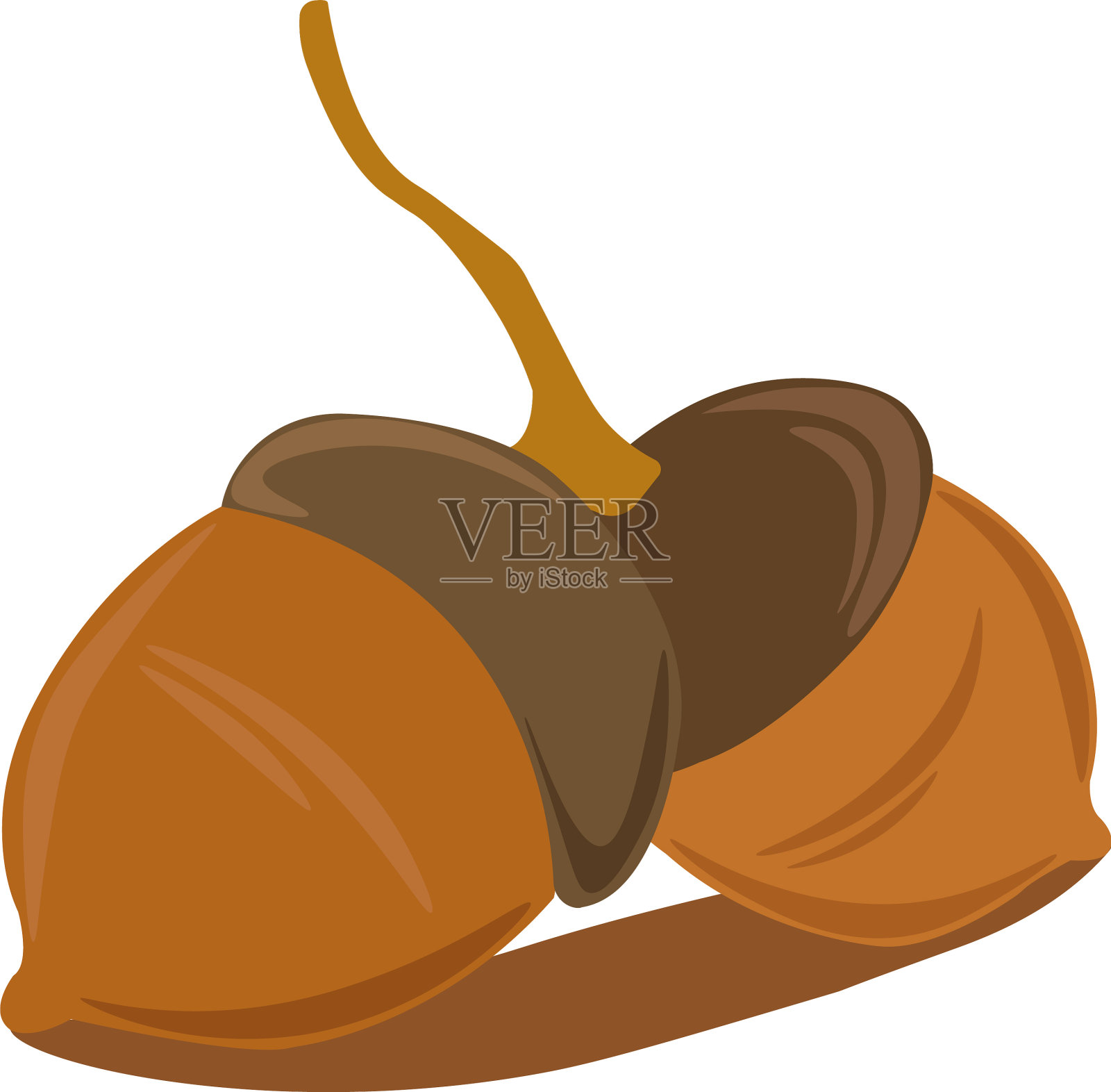 白色背景上的两个坚果设计元素图片