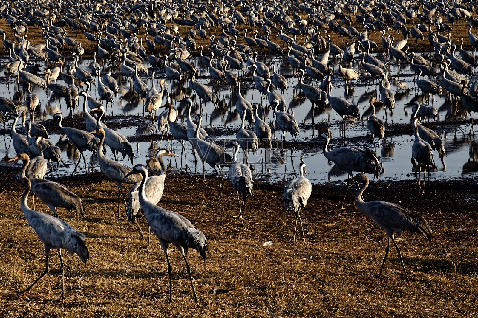 拥挤的人群照片摄影图片