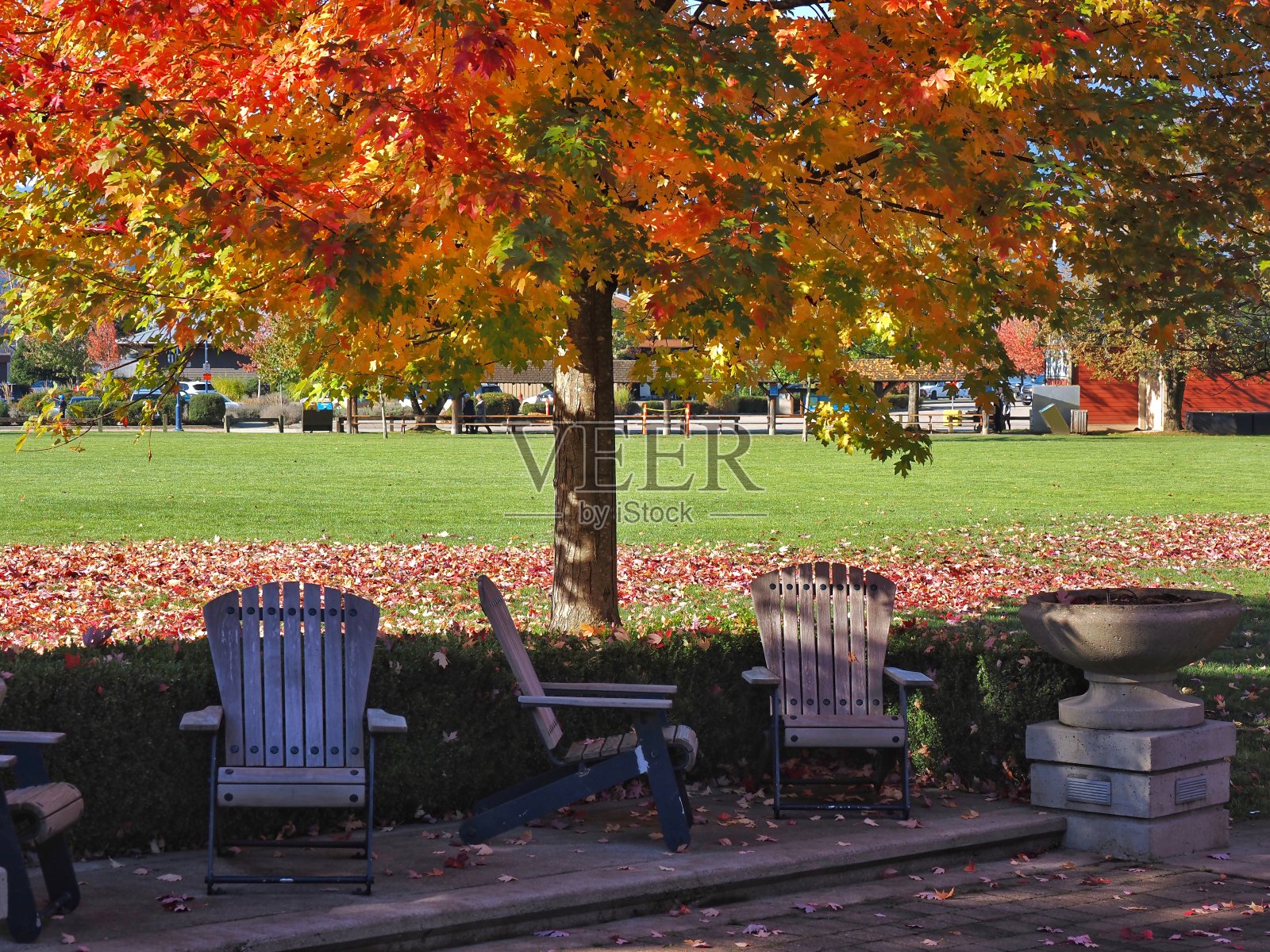 岩石角公园的秋天照片摄影图片