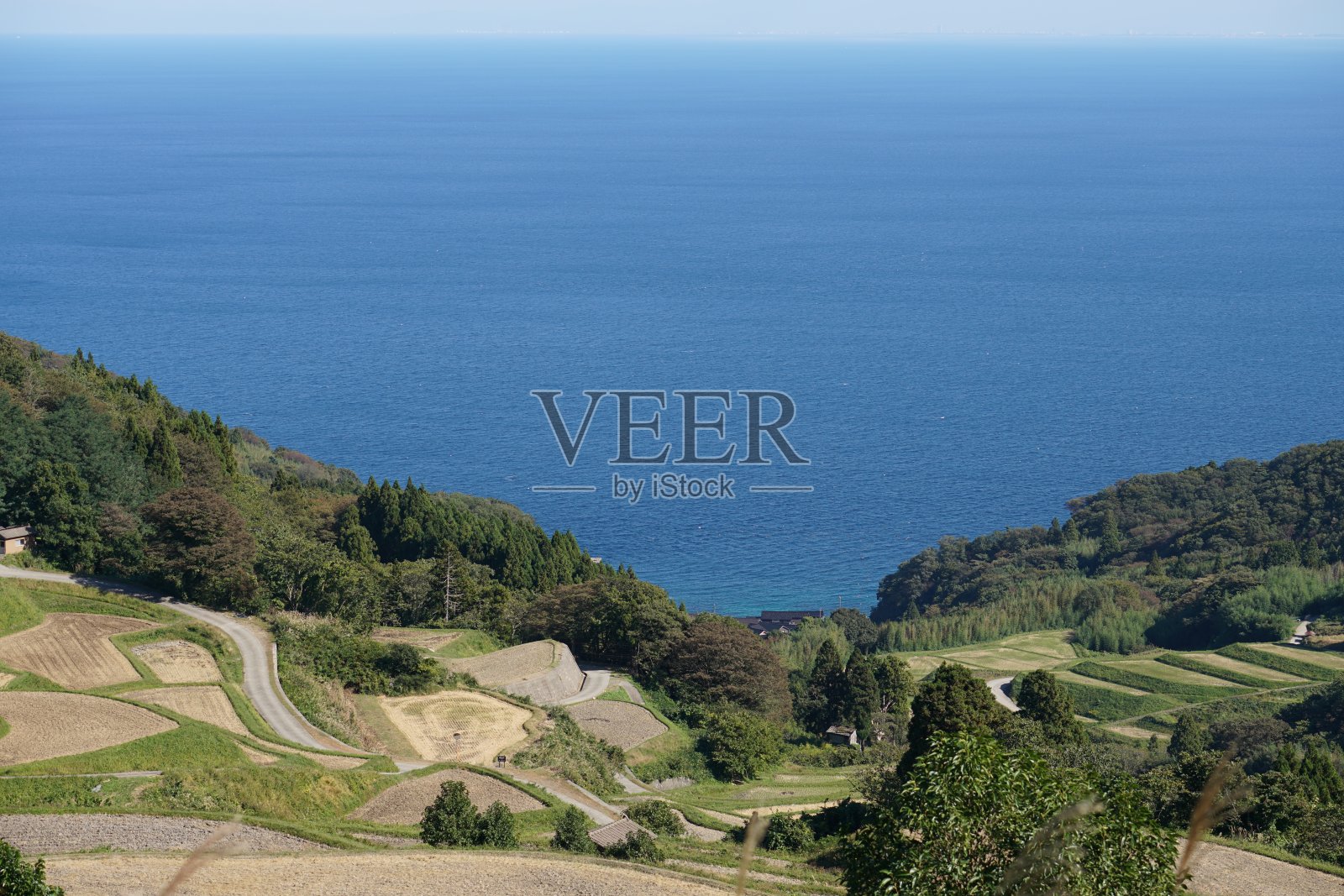 日本佐渡岛的磐城短柳梯田照片摄影图片