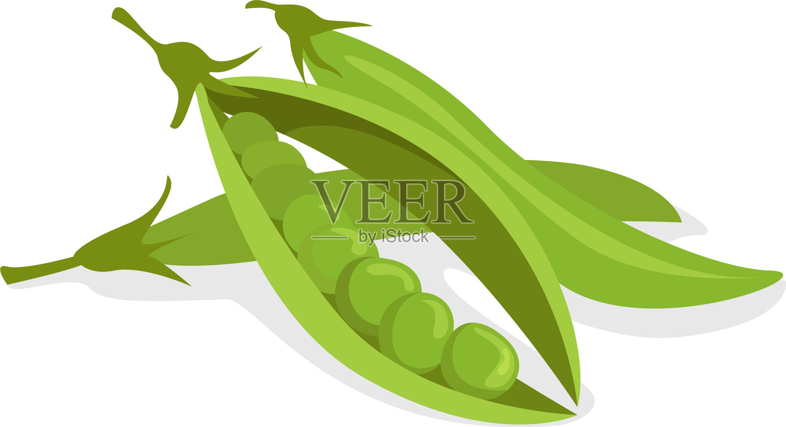 豌豆，白色背景上的豆子插画图片素材