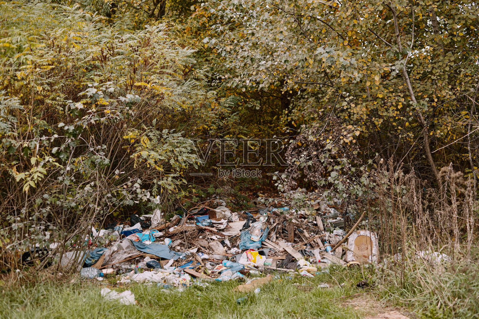 秋天森林里的垃圾特写。照片摄影图片