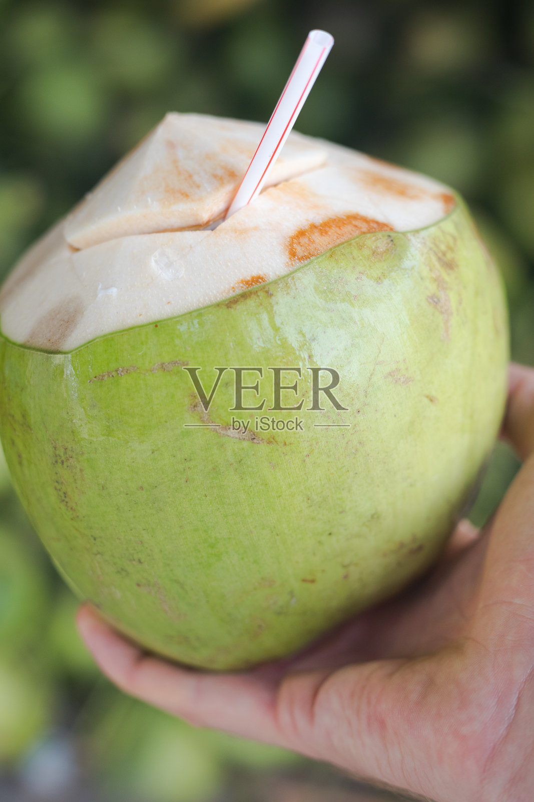 拿着泰国椰子喝照片摄影图片