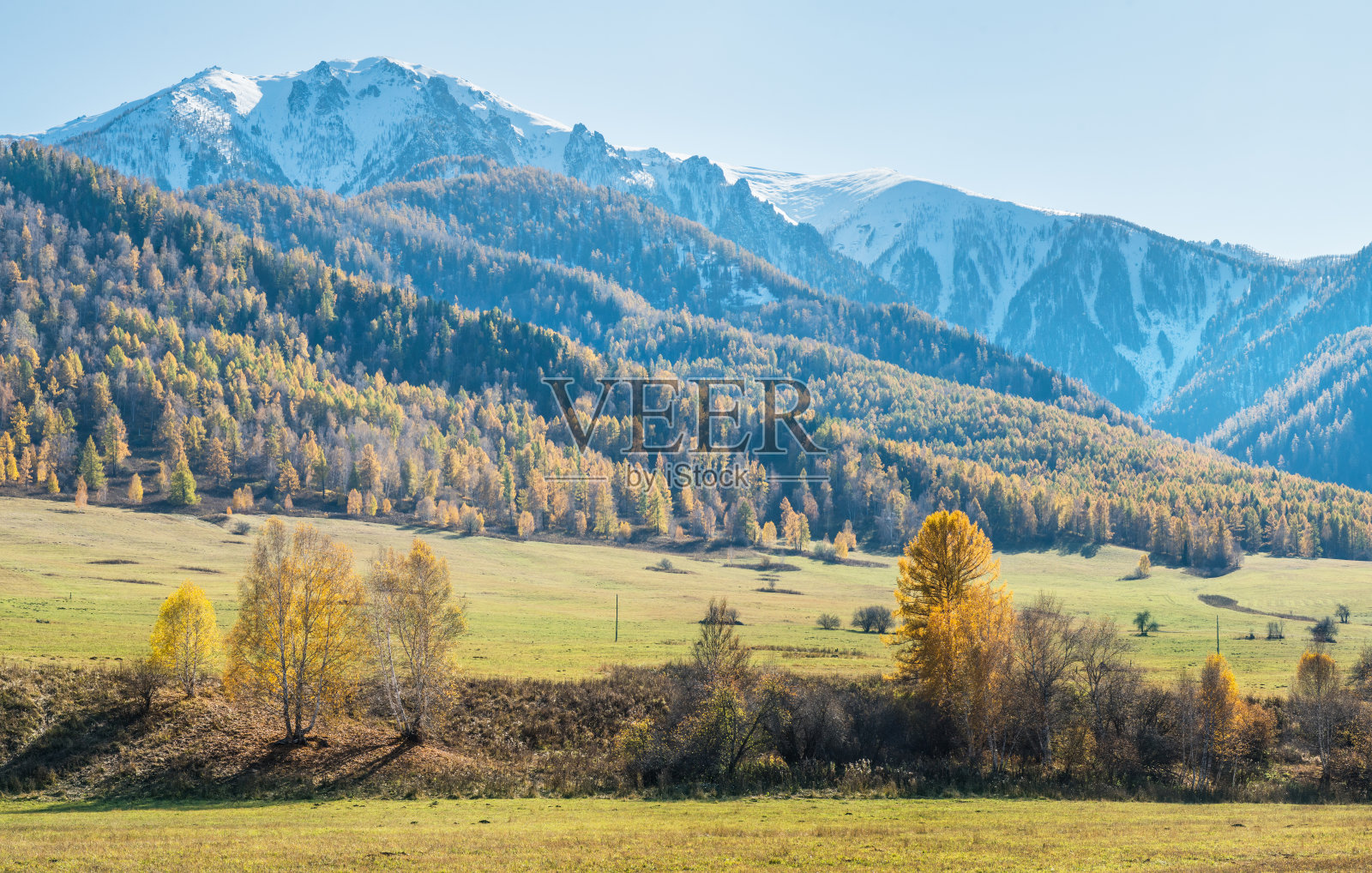 山谷，秋景。白雪覆盖的山峰。照片摄影图片
