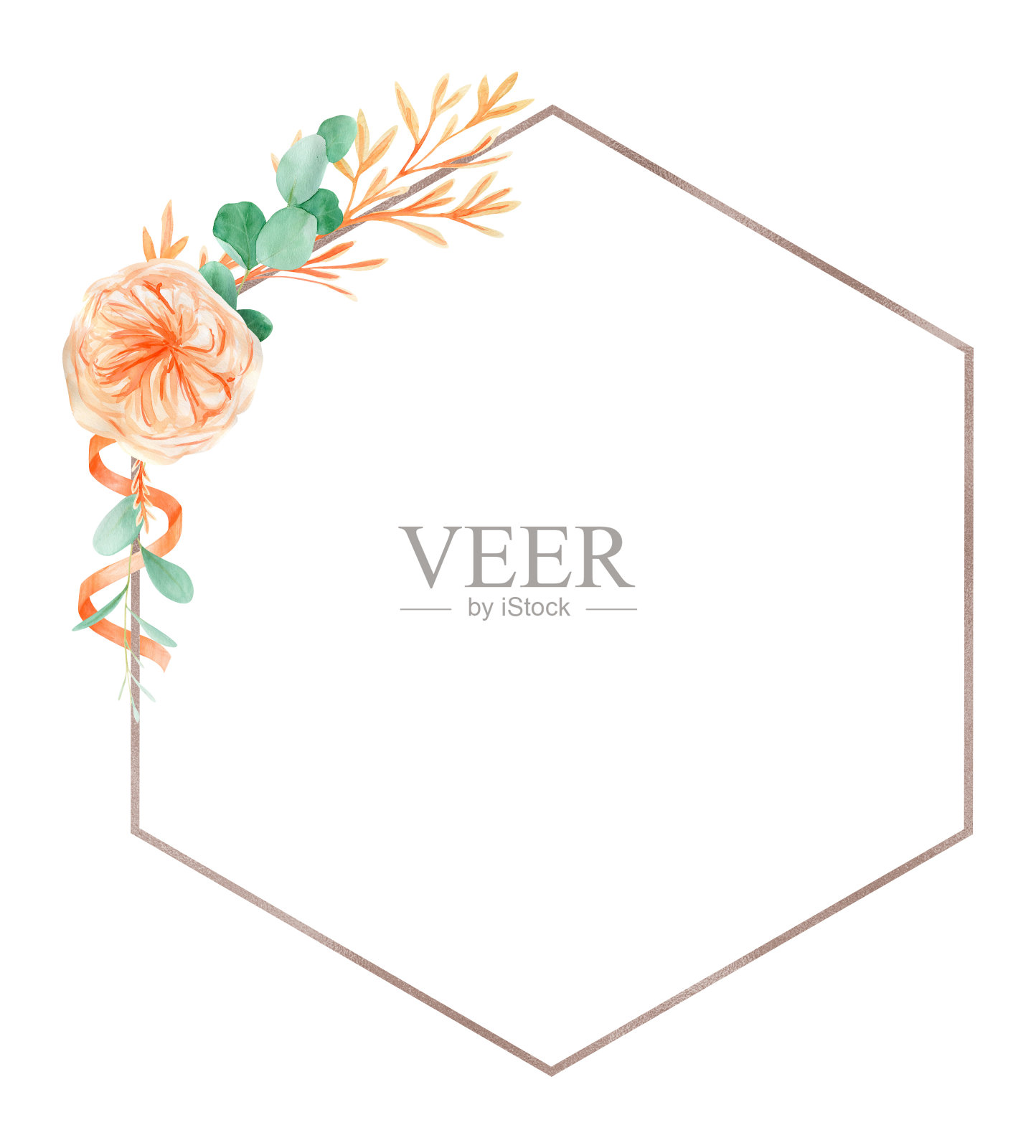 桃子和橙色水彩玫瑰花框架背景与英国玫瑰奥斯汀和桉树插画图片素材