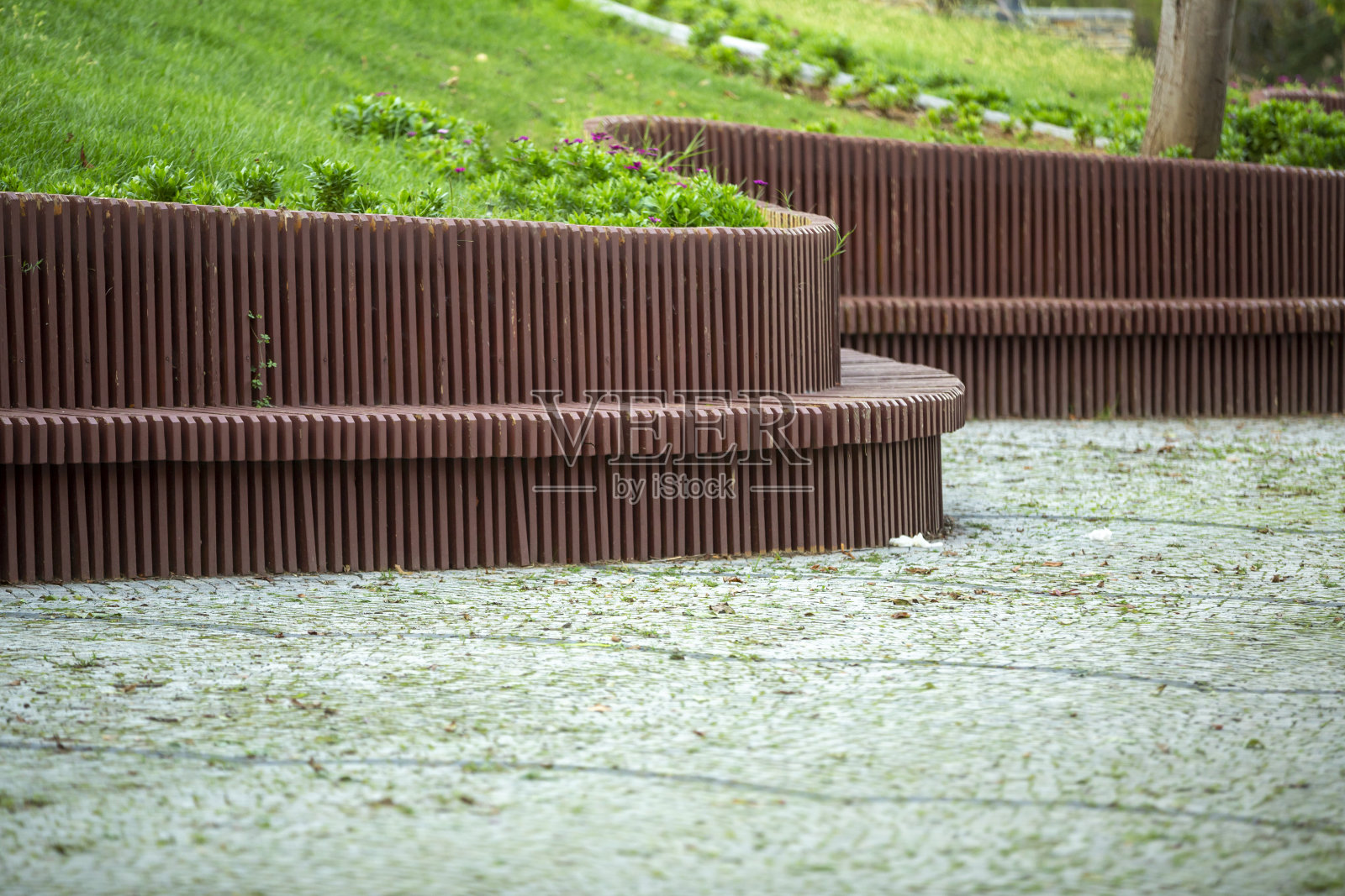 木椅上站照片摄影图片