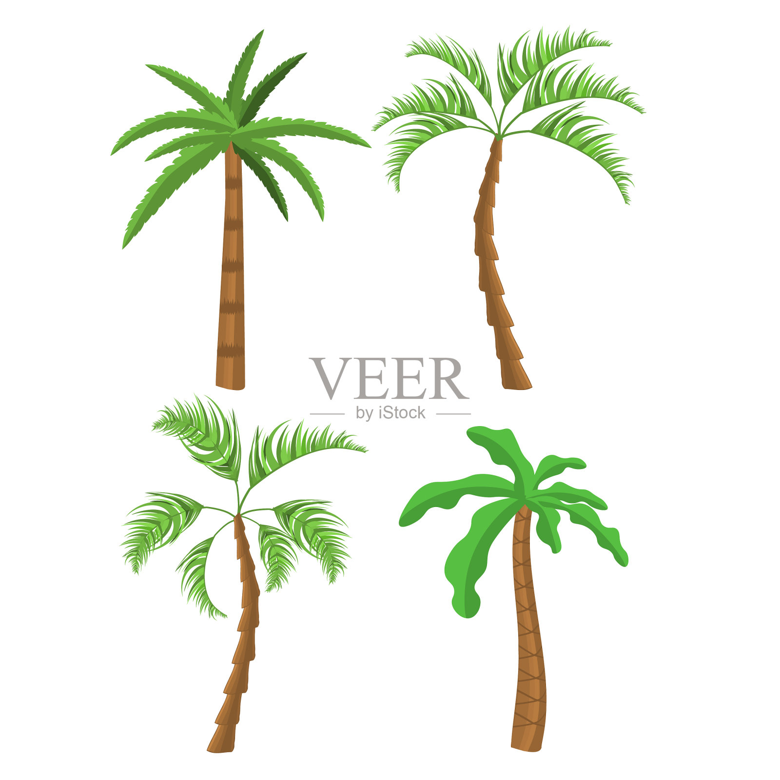 热带的棕榈树设计元素图片
