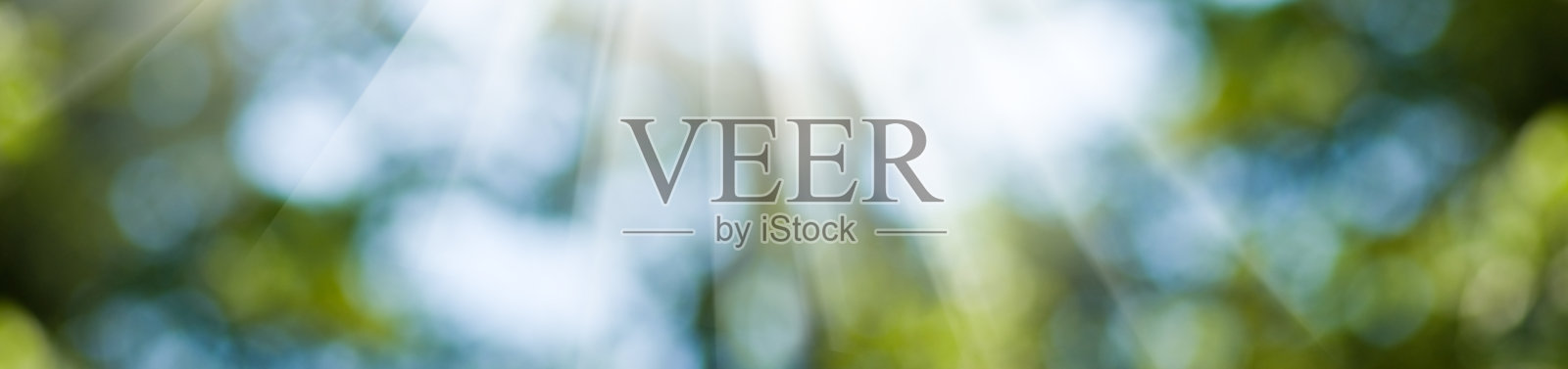 模糊背景上的阳光图像照片摄影图片