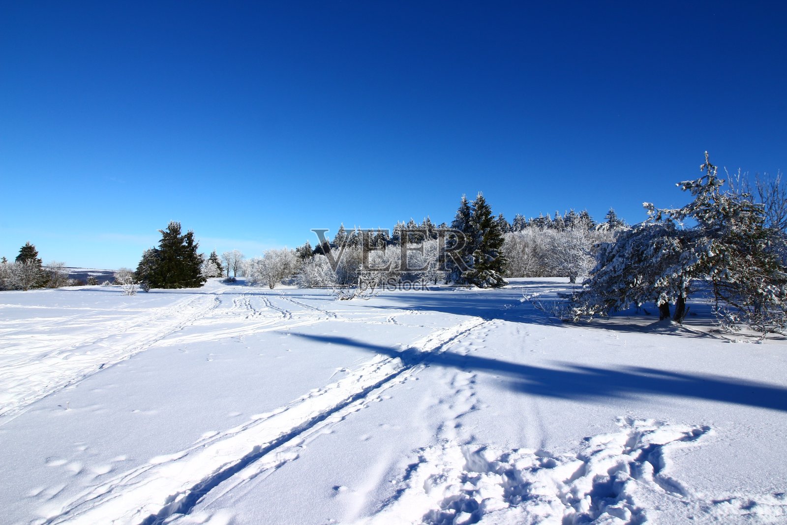克罗伊茨贝格的冬天在Rhön照片摄影图片