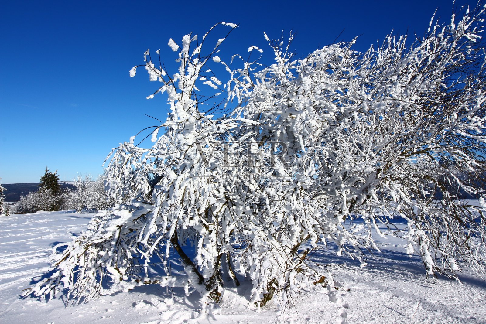 克罗伊茨贝格的冬天在Rhön照片摄影图片
