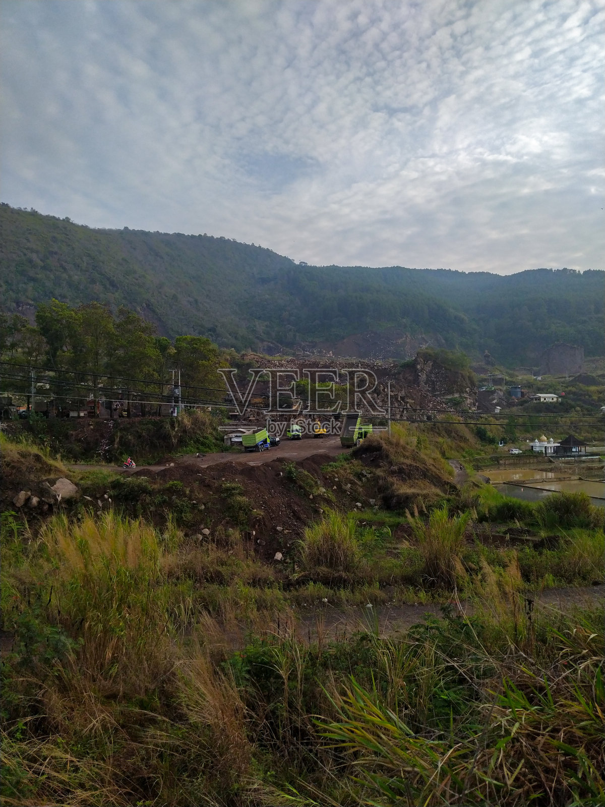 沙我照片摄影图片