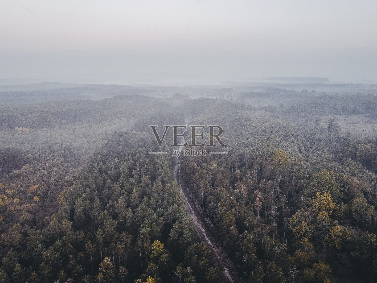 鸟瞰图。无人机拍摄了秋天的风景。照片摄影图片