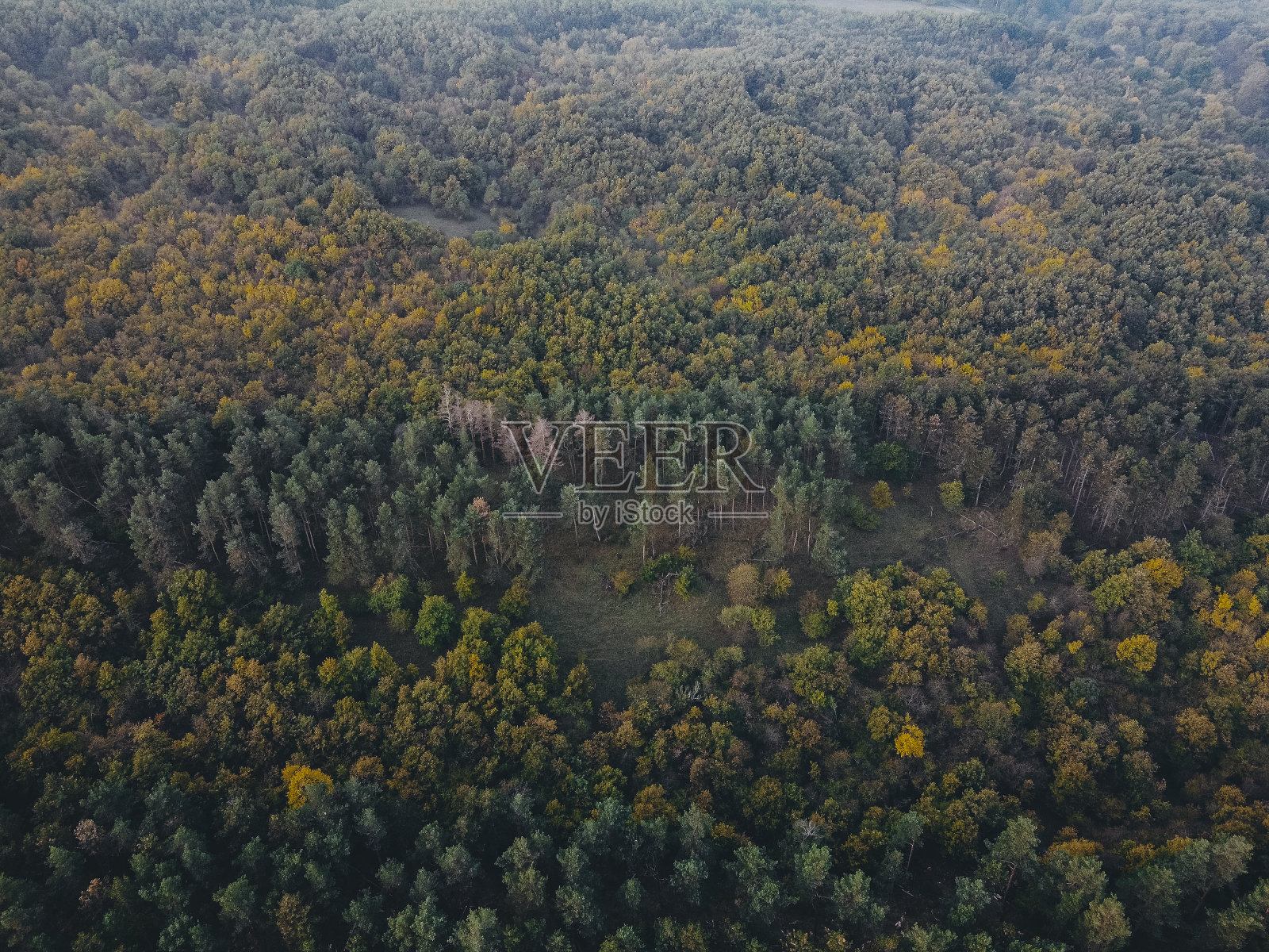 鸟瞰图。无人机拍摄了秋天的风景。照片摄影图片