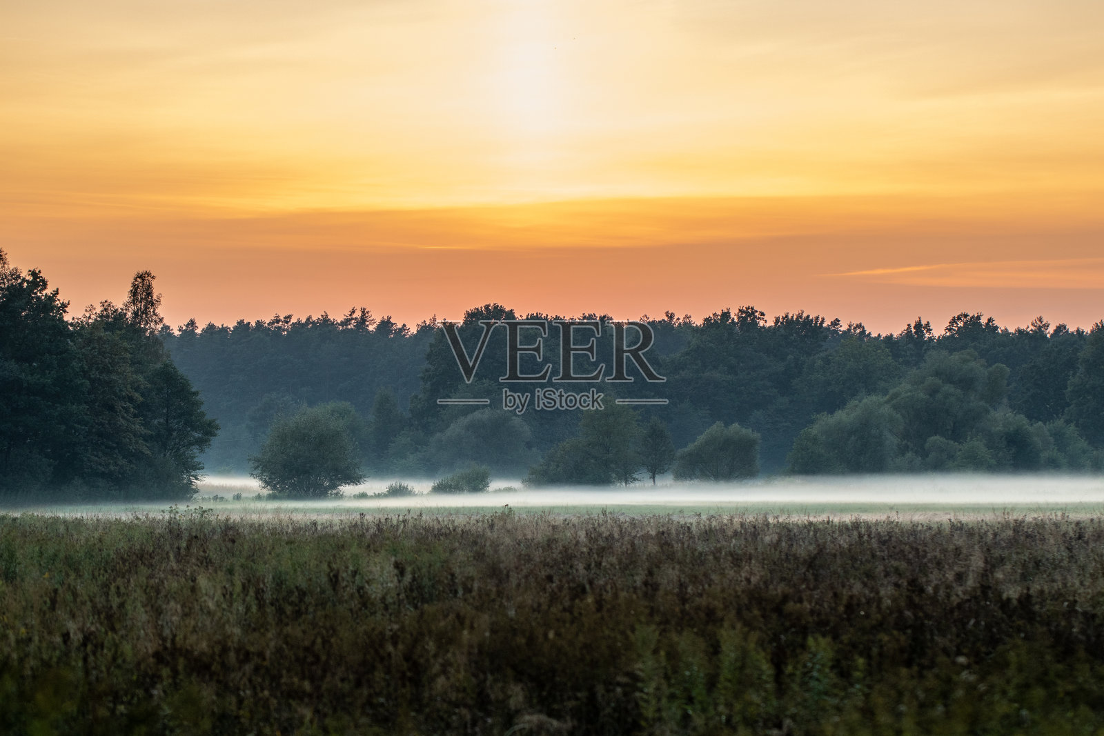 秋天照片摄影图片