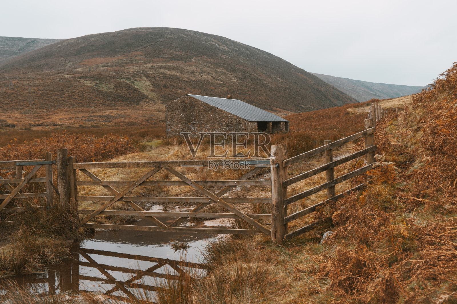 秋天的英语风景2020照片摄影图片