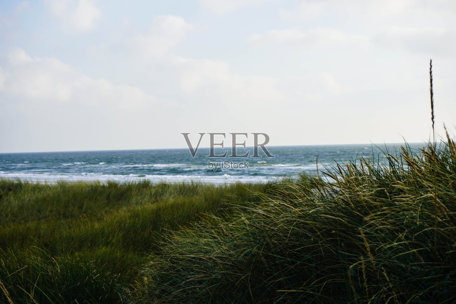 布拉万德丹麦照片摄影图片