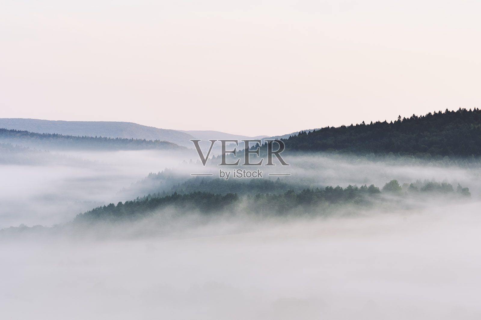 森林被浓雾遮蔽的全景。波兰贝斯kids的晨雾。照片摄影图片