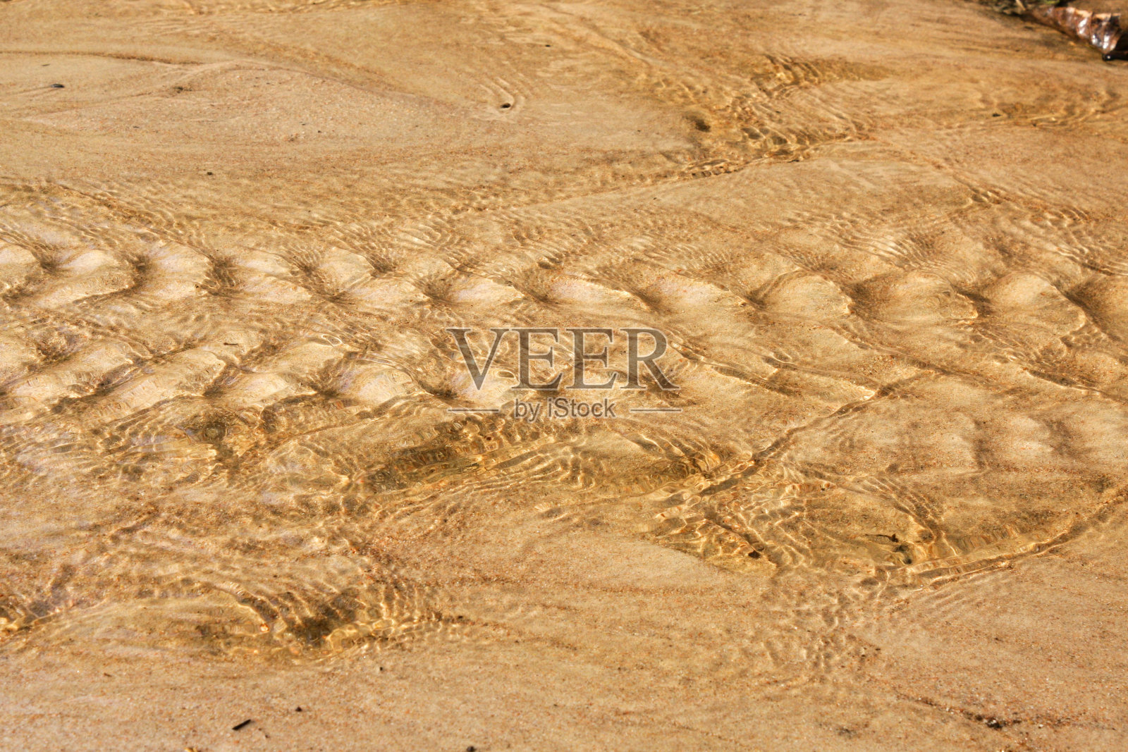 水在沙质森林小溪中流动。太阳能照明照片摄影图片