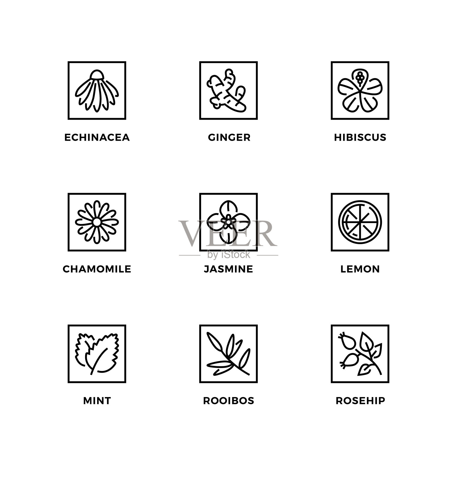 向量集设计元素，标志设计模板，图标和徽章的味道的有机茶。图标素材