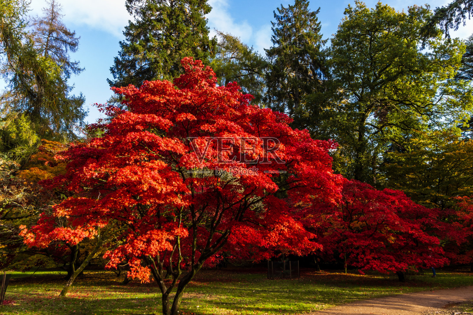 美丽的秋天的颜色照片摄影图片