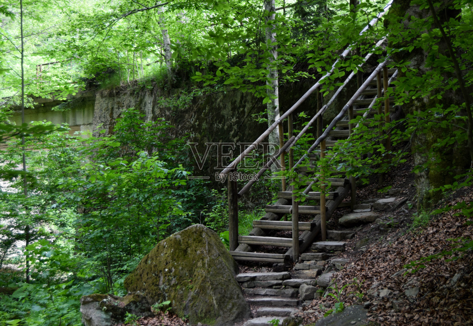 小径与古老的木梯子在一个雄伟的砂岩的森林小径上照片摄影图片