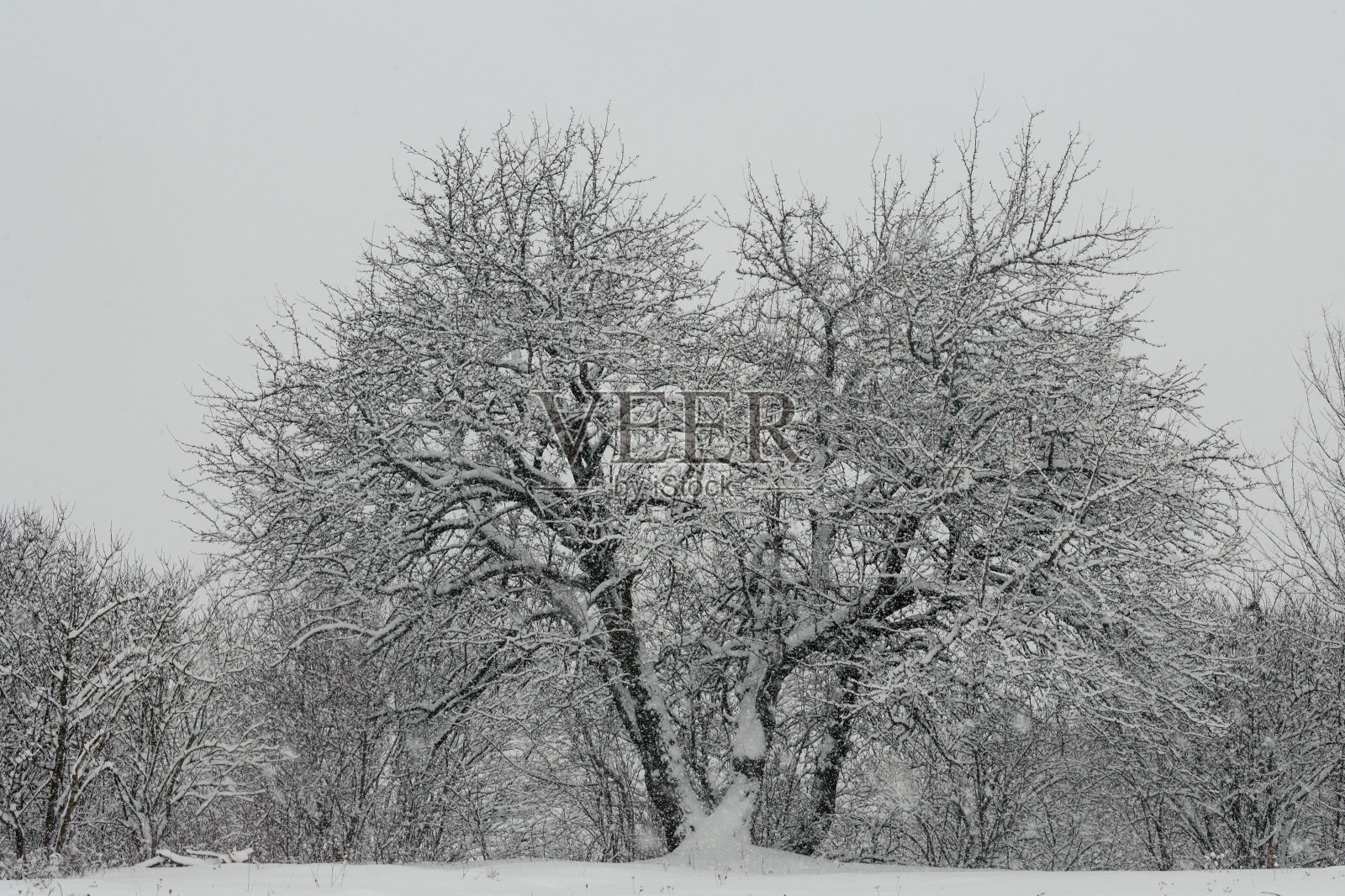 冬天的风景照片摄影图片