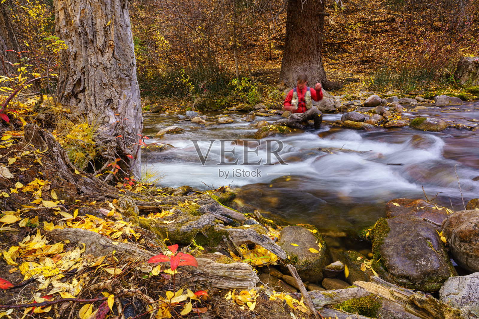 飞渔夫秋天在小溪上钓鱼照片摄影图片