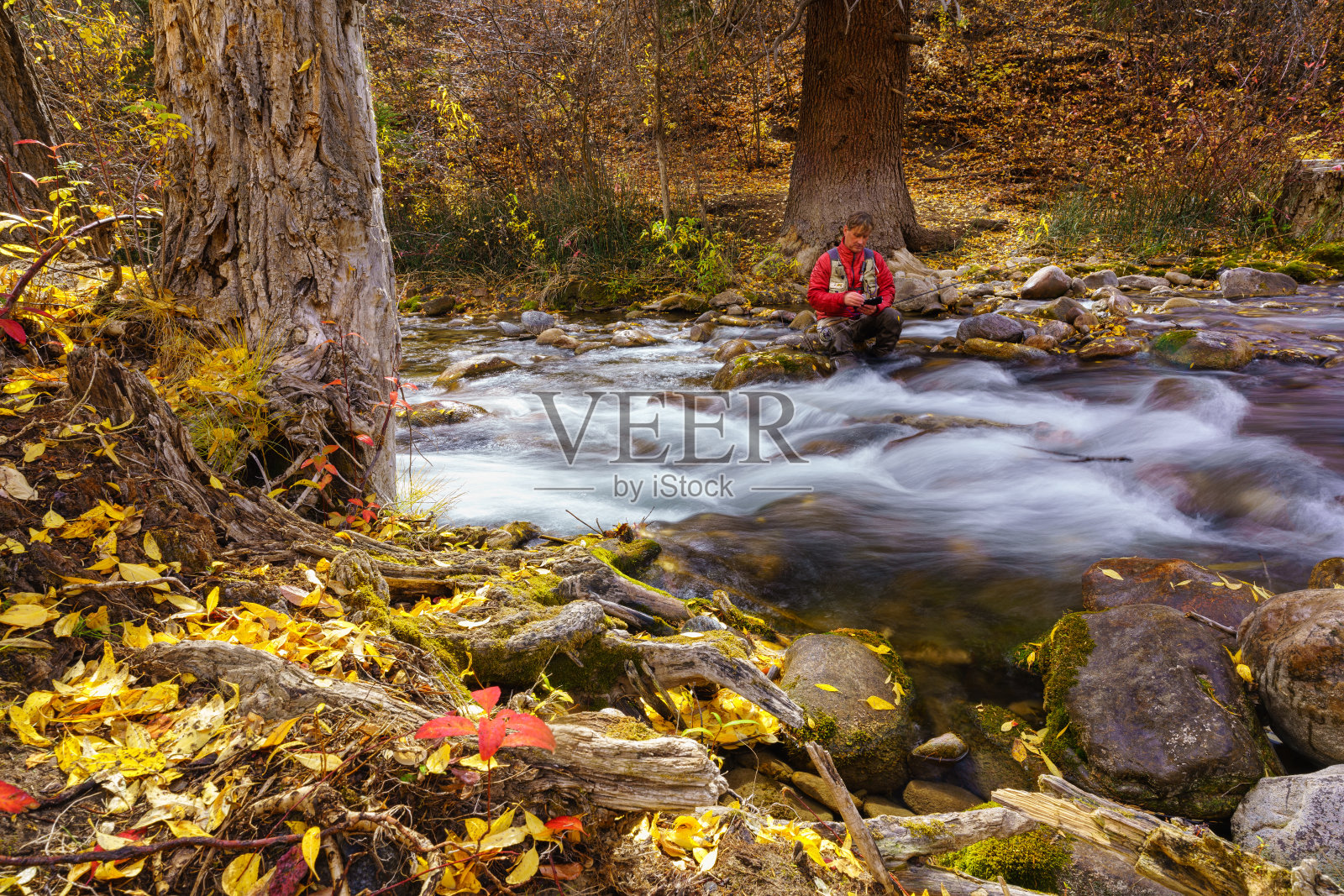 飞渔夫秋天在小溪上钓鱼照片摄影图片