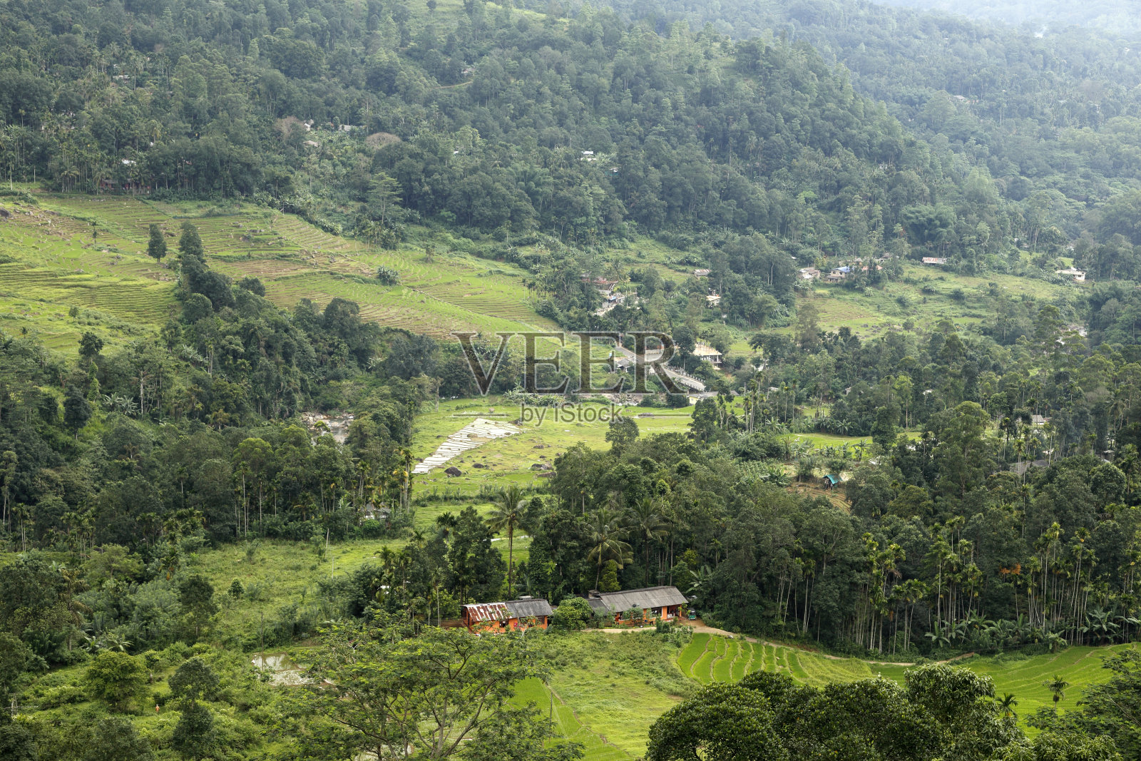 Nuwara Eliya周围的风景在斯里兰卡照片摄影图片