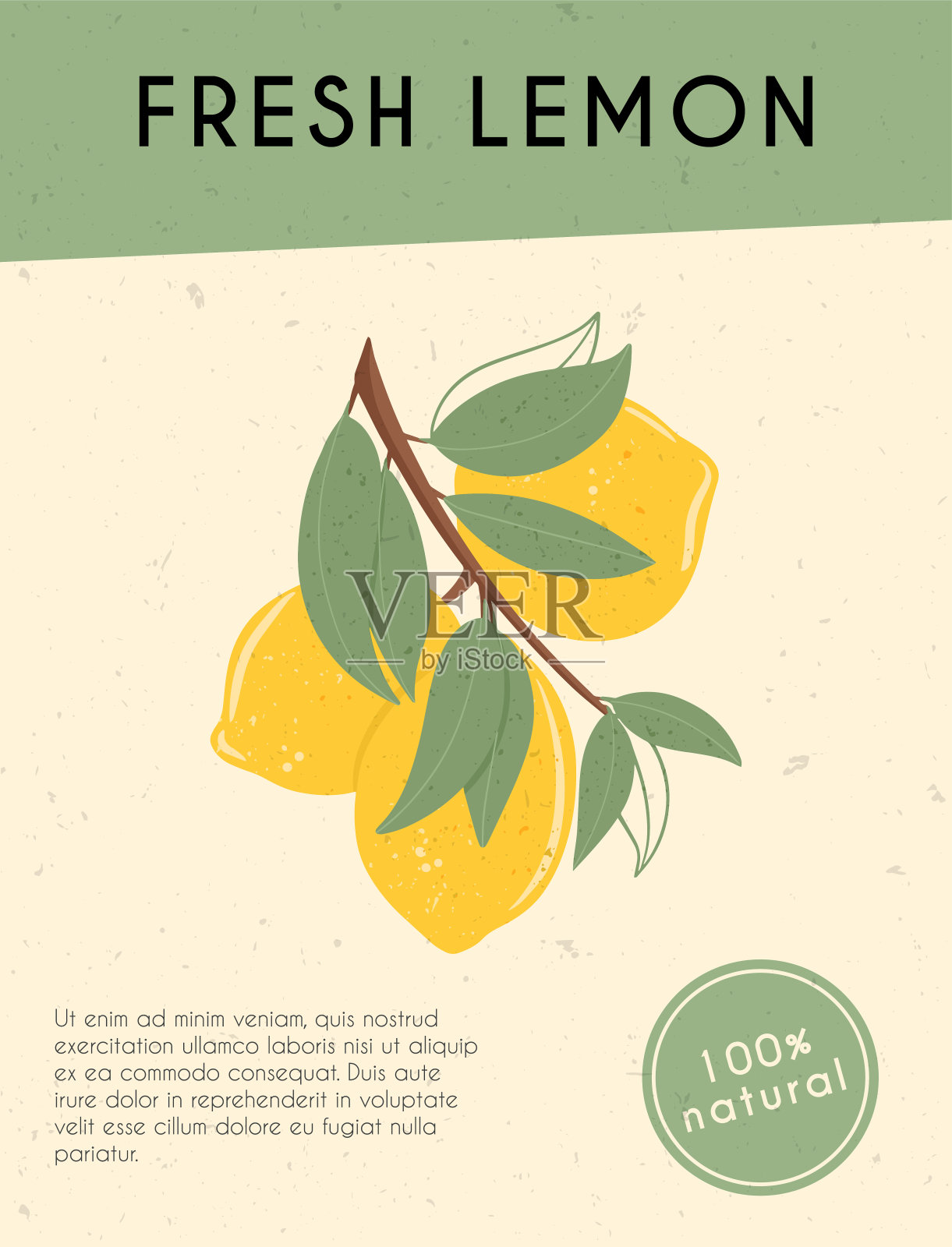 新鲜的纹理柠檬水果在树枝与树叶矢量手绘卡片设计与文本。设计模板素材