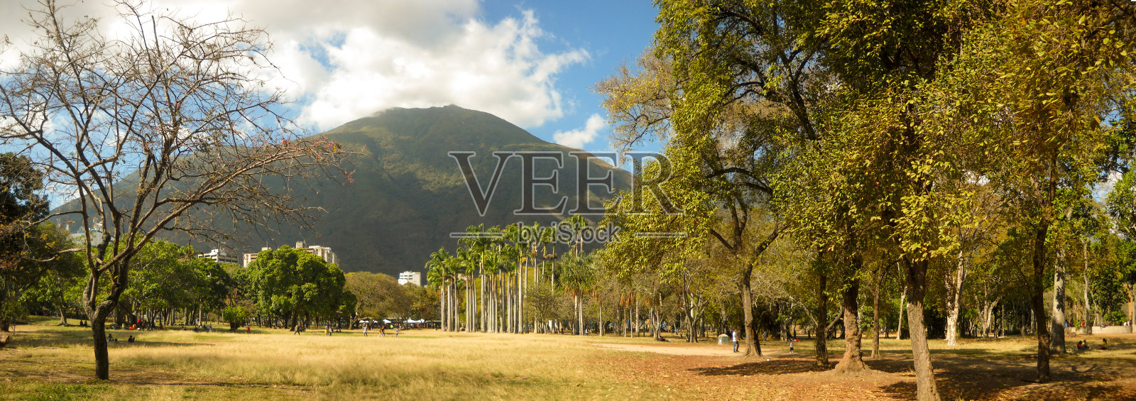 美丽的阿维拉山或瓦拉雷帕诺从东公园加拉加斯委内瑞拉。照片摄影图片