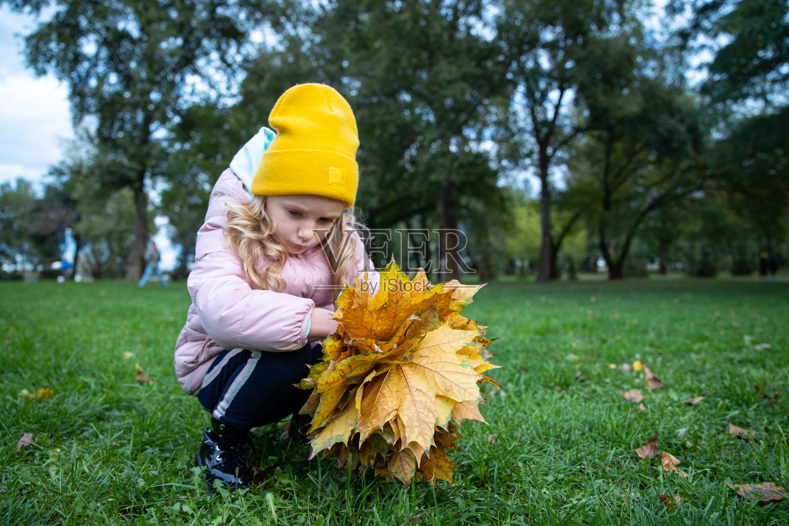 那孩子把黄色的枫叶收集成一束。照片摄影图片