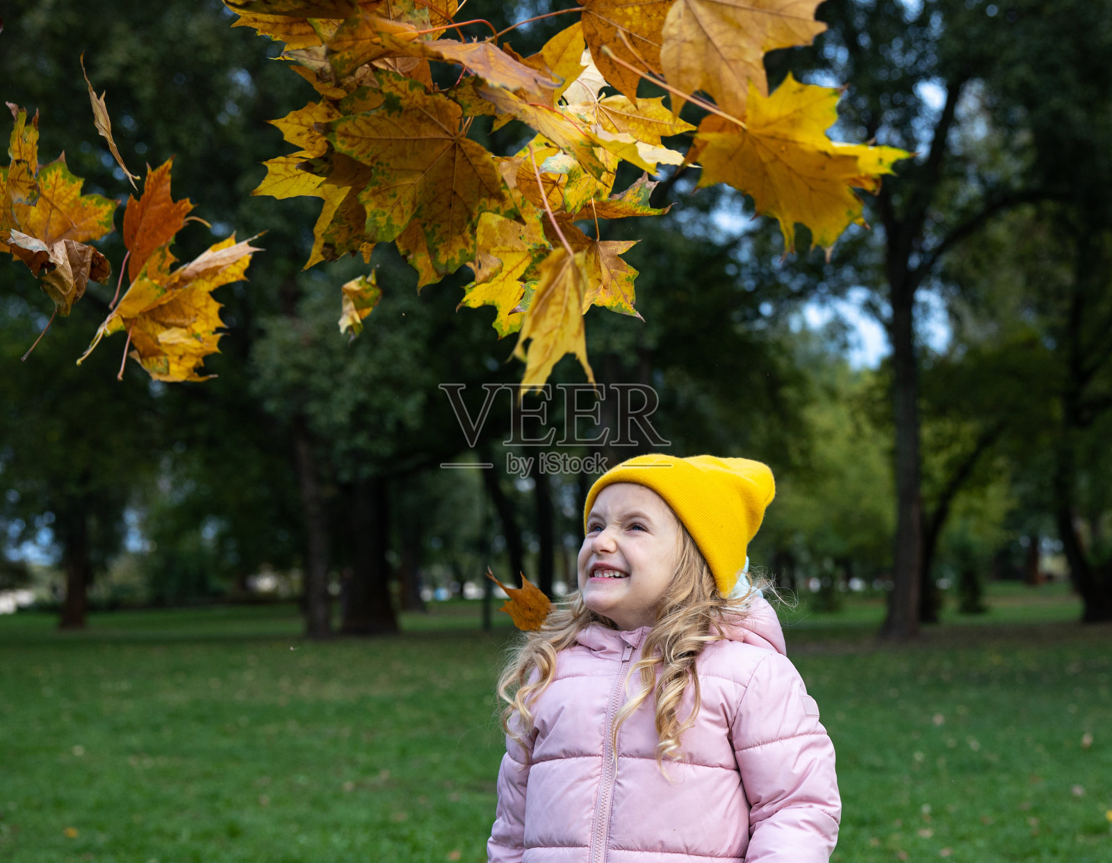 一个孩子在公园里玩黄色的枫叶。照片摄影图片