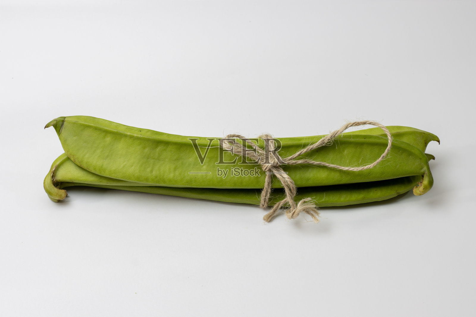 长青豆束孤立于白色照片摄影图片