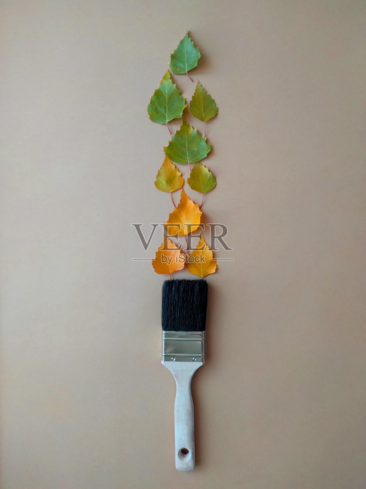 平铺顶视图的油漆刷和明亮的秋天的树叶在一个色彩柔和的背景与复制空间。创意秋季概念作文。模板模拟黑色星期五，感恩节，万圣节。照片摄影图片