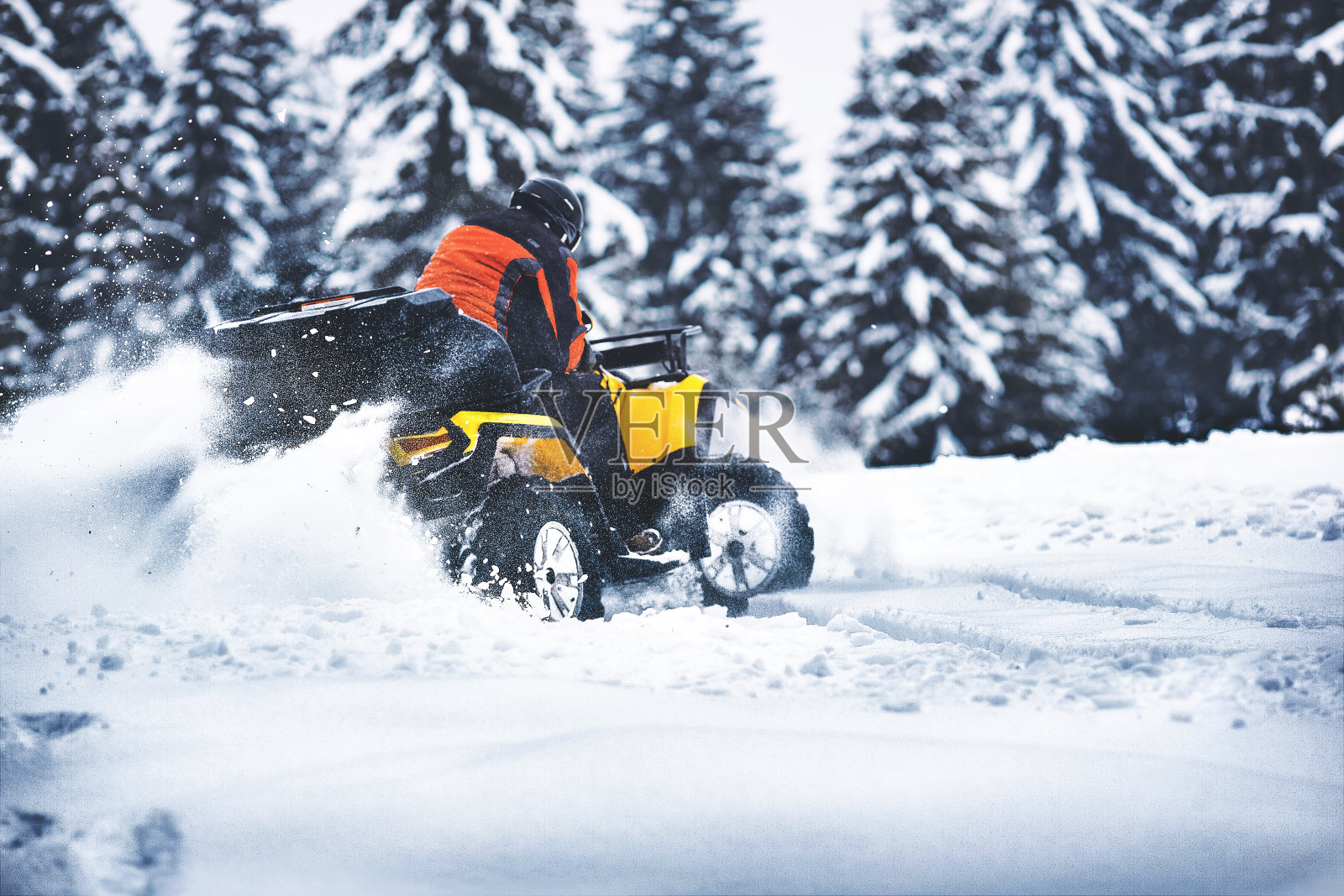 冬天在森林里骑着四轮自行车散步。照片摄影图片