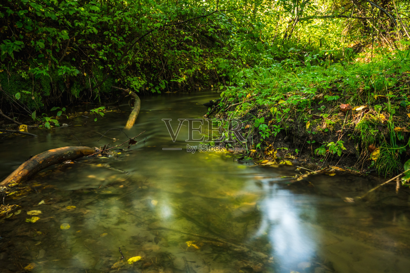 长曝光拍摄的是绿色的夏日森林中的小河。长时间的曝光。照片摄影图片