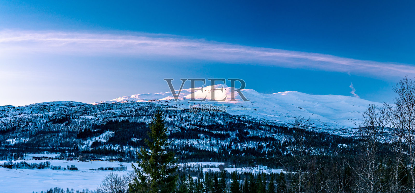 在瑞典北部的拉普兰山脉，冬天傍晚的日落-在野生森林里的冷杉和桦树冰冻的湖，古老的飞机痕迹横跨整个天空，玫瑰色的雪在山顶照片摄影图片