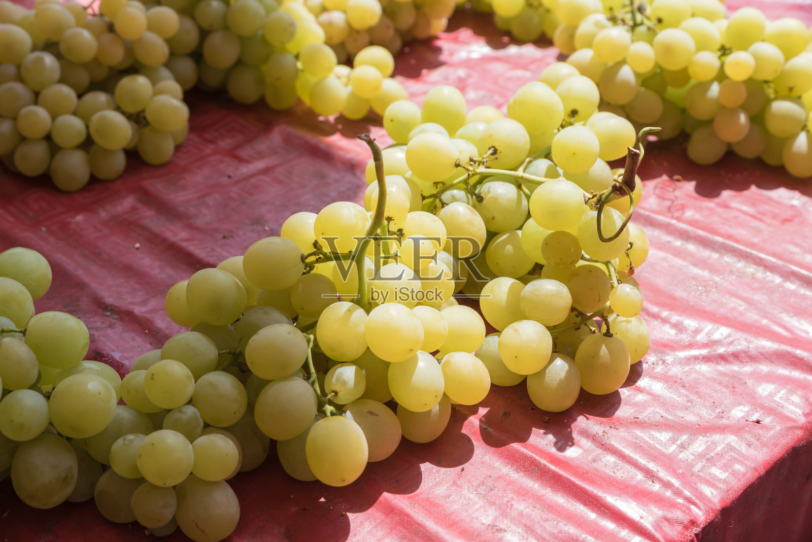 卡塔尼亚市场的白葡萄照片摄影图片