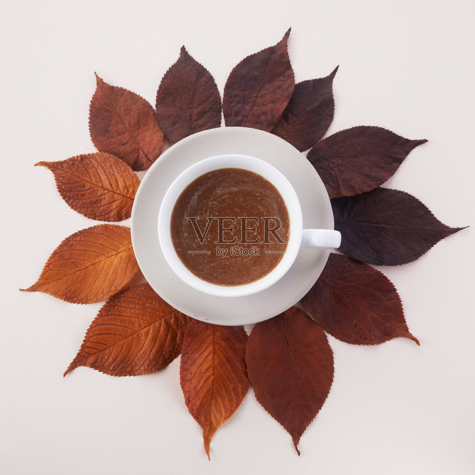一杯秋叶咖啡。秋装饰，秋心情照片摄影图片