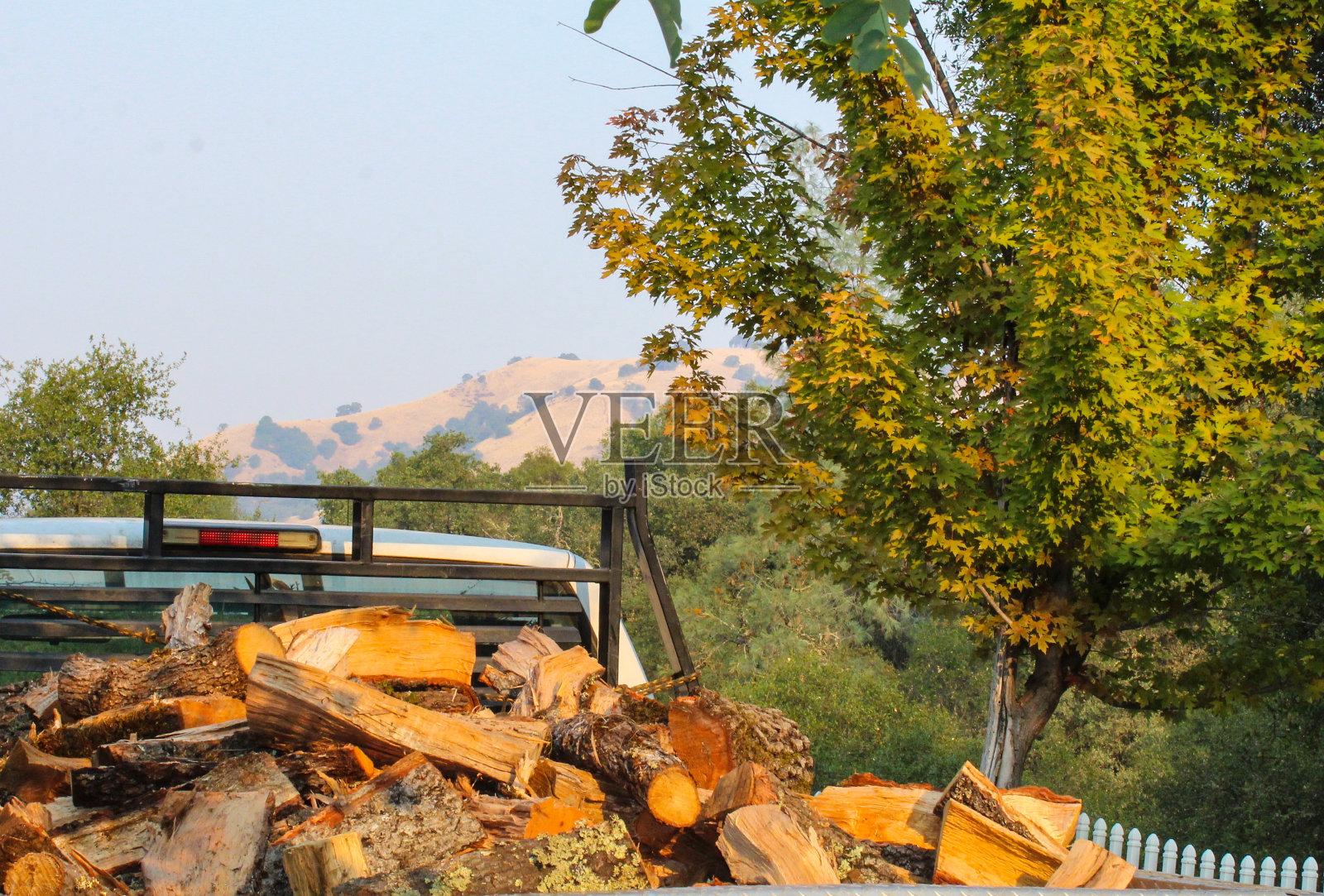 一辆装满橡木柴的卡车照片摄影图片